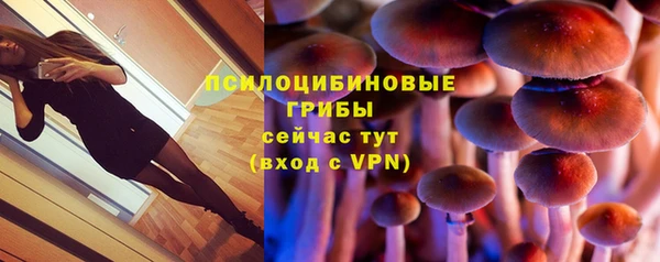 метамфетамин Алексеевка
