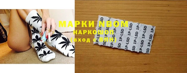 прущий лед Алзамай