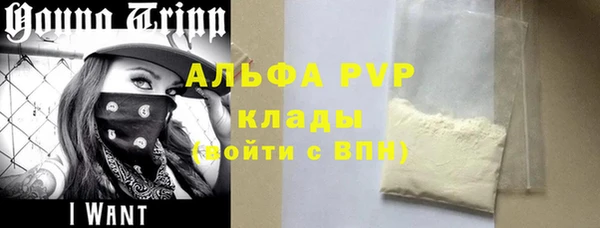 прущий лед Алзамай